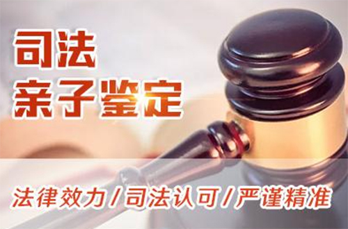 保山司法亲子鉴定详细流程及材料,保山司法亲子鉴定哪里做